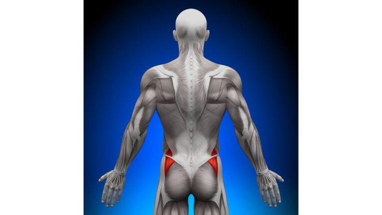 Gluteal Tendinopathy